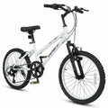 20 Inch Kids Mountain Bike with Adjustable Seat