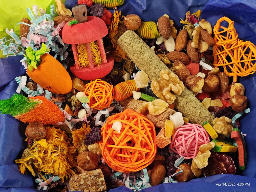 Play & Chew Rodent Fun  "No More Boredom" Box - Rats, Mice, Gerbils, Hamsters...