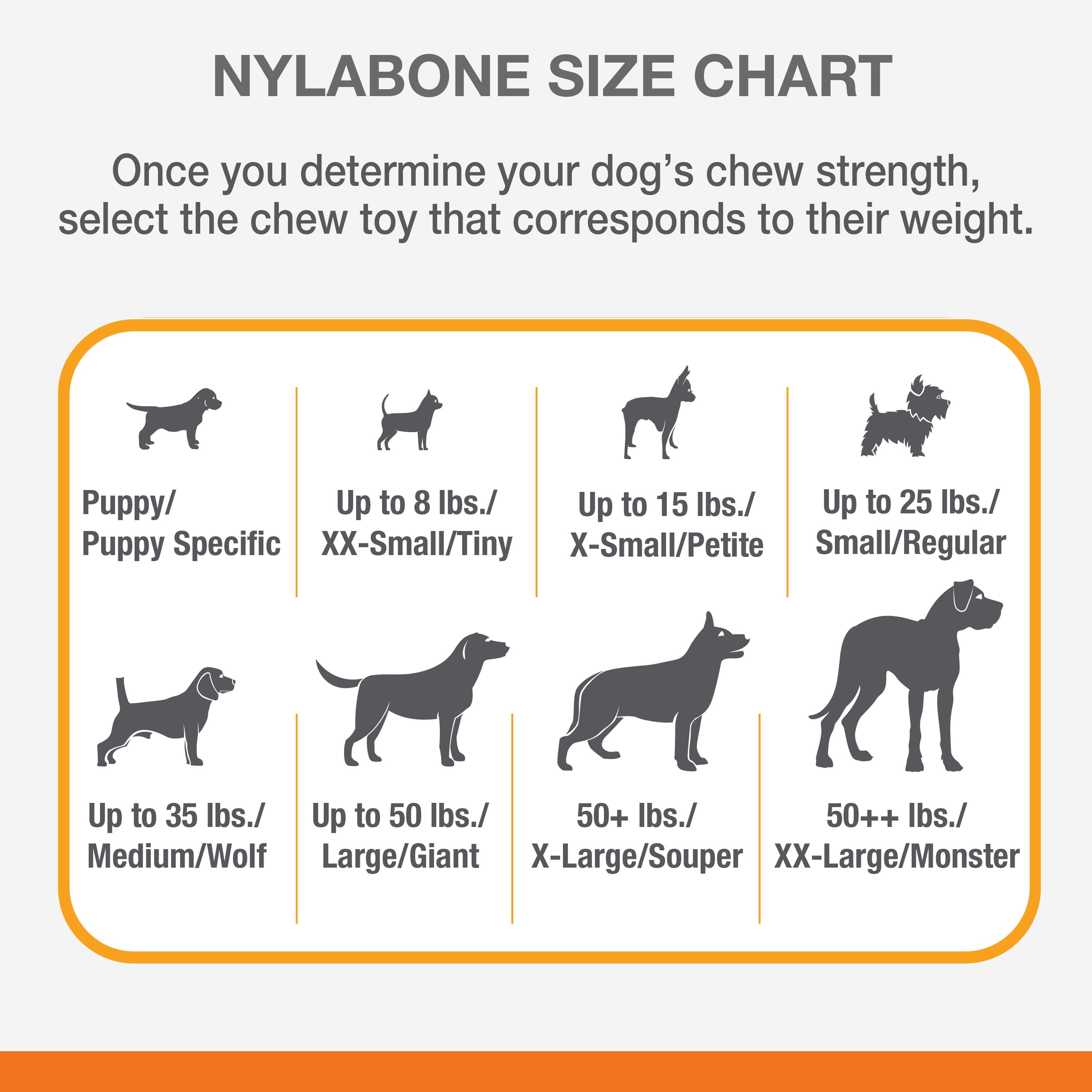 Flavor Frenzy Power Chew Triple Pack