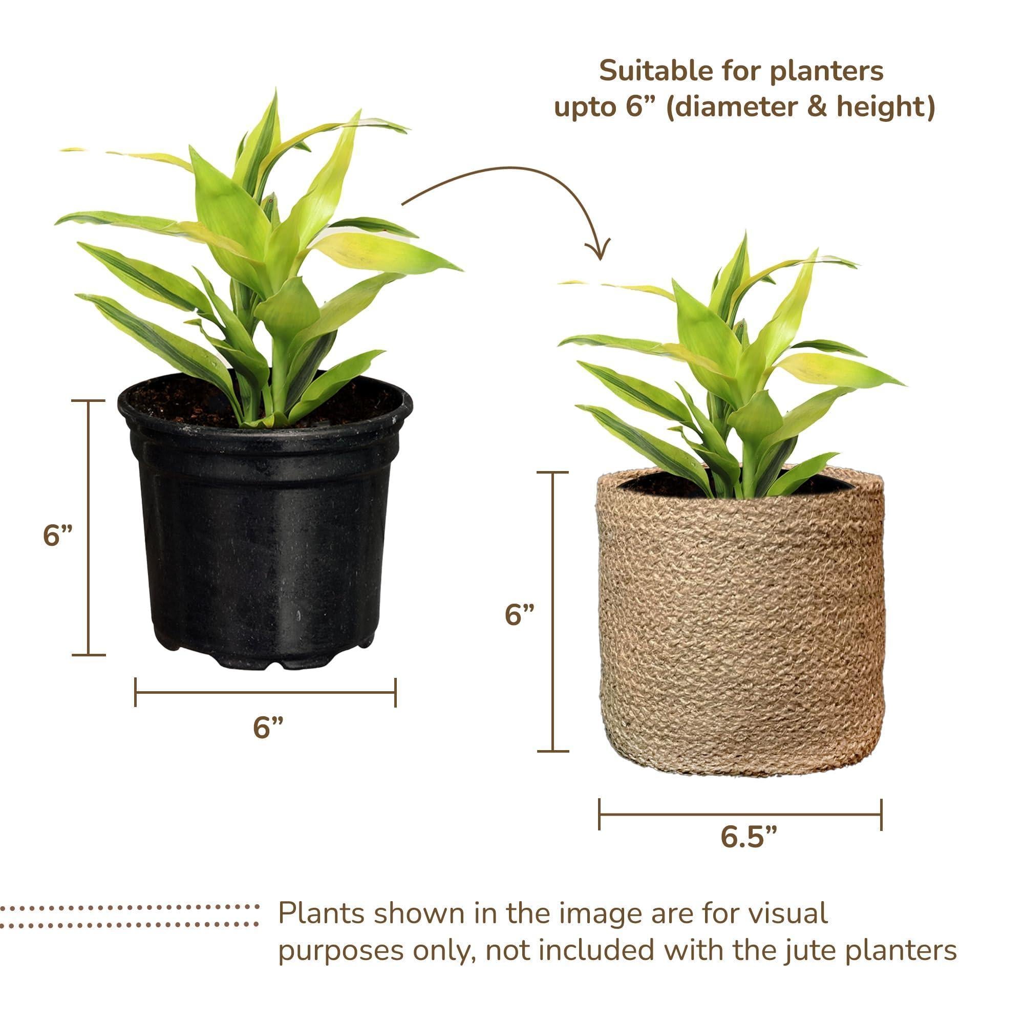 Jute Planter Basket Set of 2 Woven Jute Rope Covers for Decorating Indoor Outdoor Succulents Small Plant Pots Multi Purpose Storage Bins 6.5 Inches   Modern Style Décor  Brown