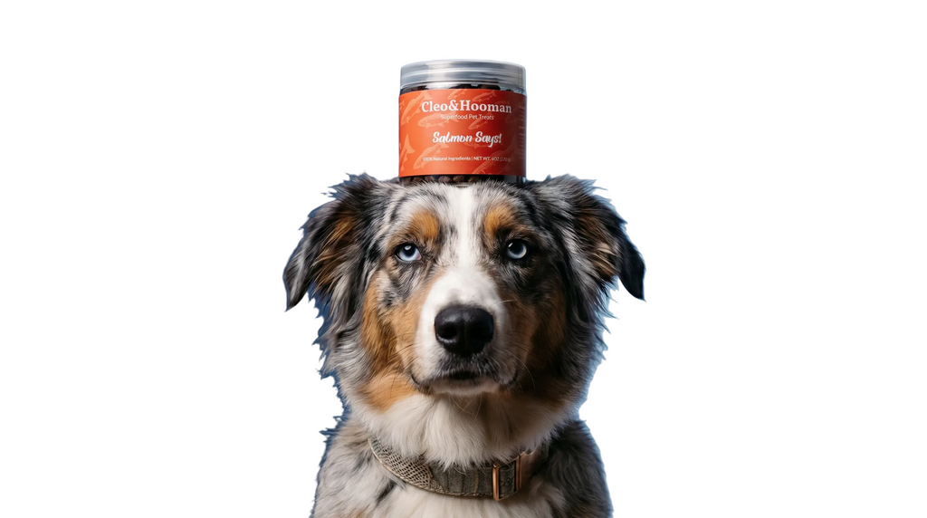 Salmon Says! — Superfood Pet Treats