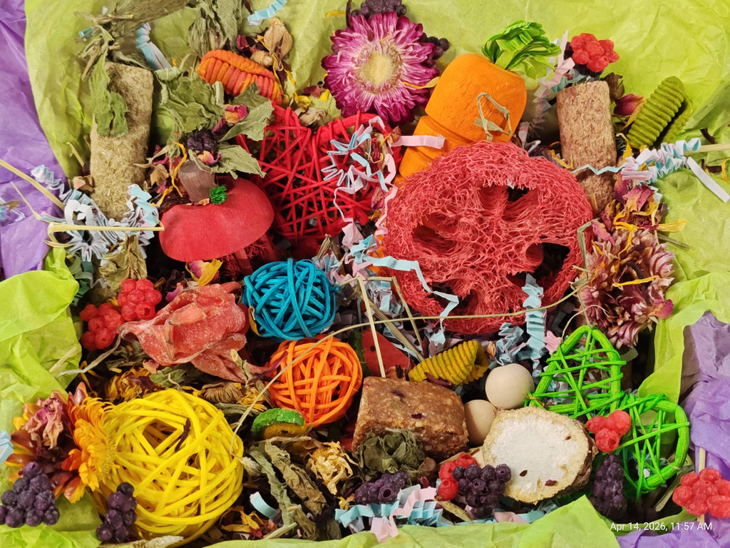 Ultimate Toy, Chew and Treat box for Guinea Pigs, Chinchillas, Rabbits