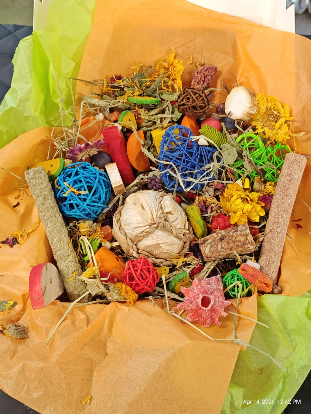 Ultimate Toy, Chew and Treat box for Guinea Pigs, Chinchillas, Rabbits