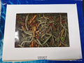 Fun & Forage Box  "No More Boredom" Box - Chinchillas, Guinea Pigs, Rabbits 26 OZ BOX