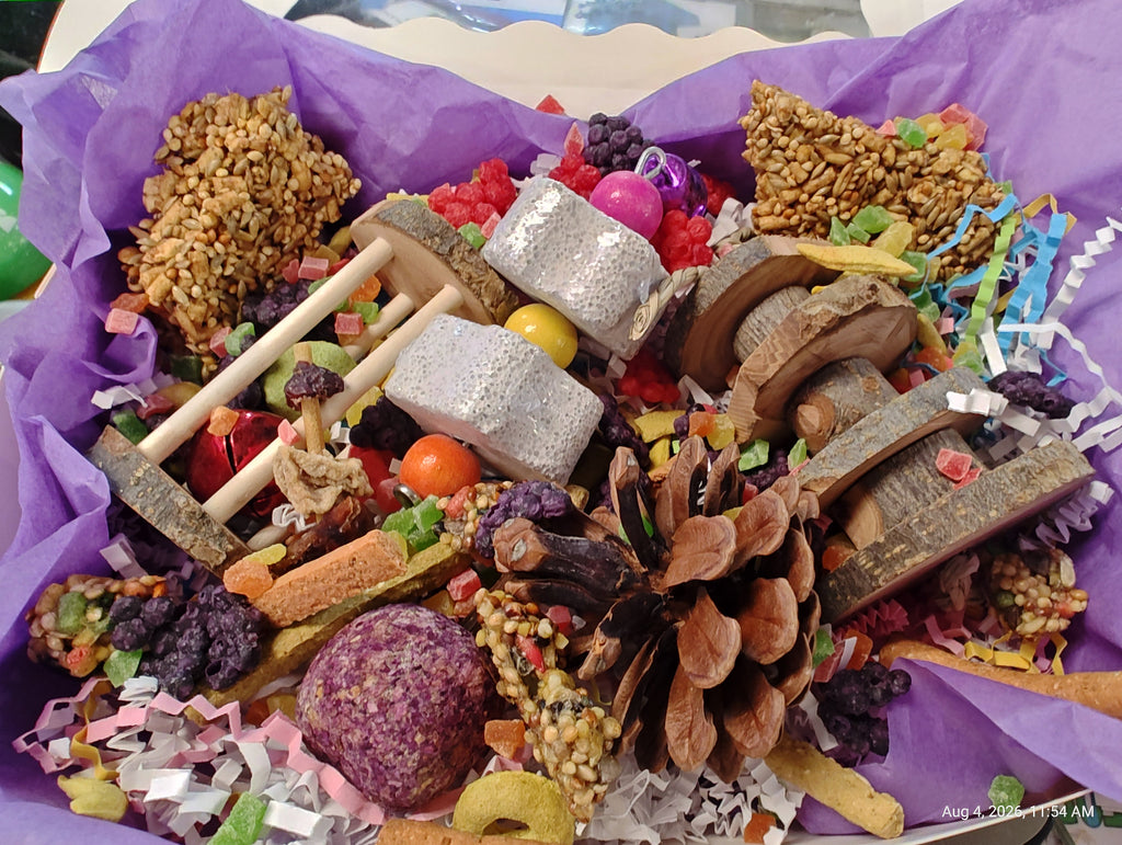 Play & Chew Rodent Fun  "No More Boredom" Box - Rats, Mice, Gerbils, Hamsters...