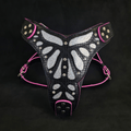 The ''Ariel'' harness