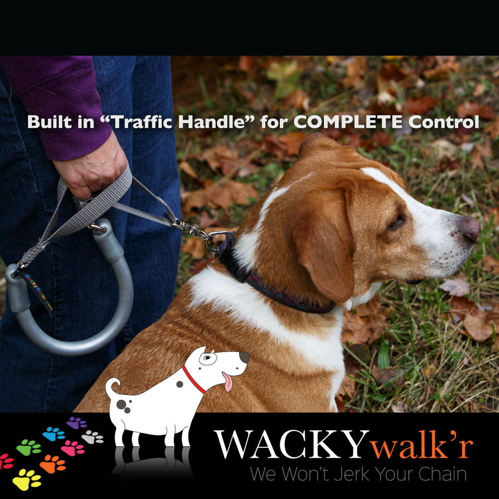 Urban Walk'r - Shorter No Pull Leash