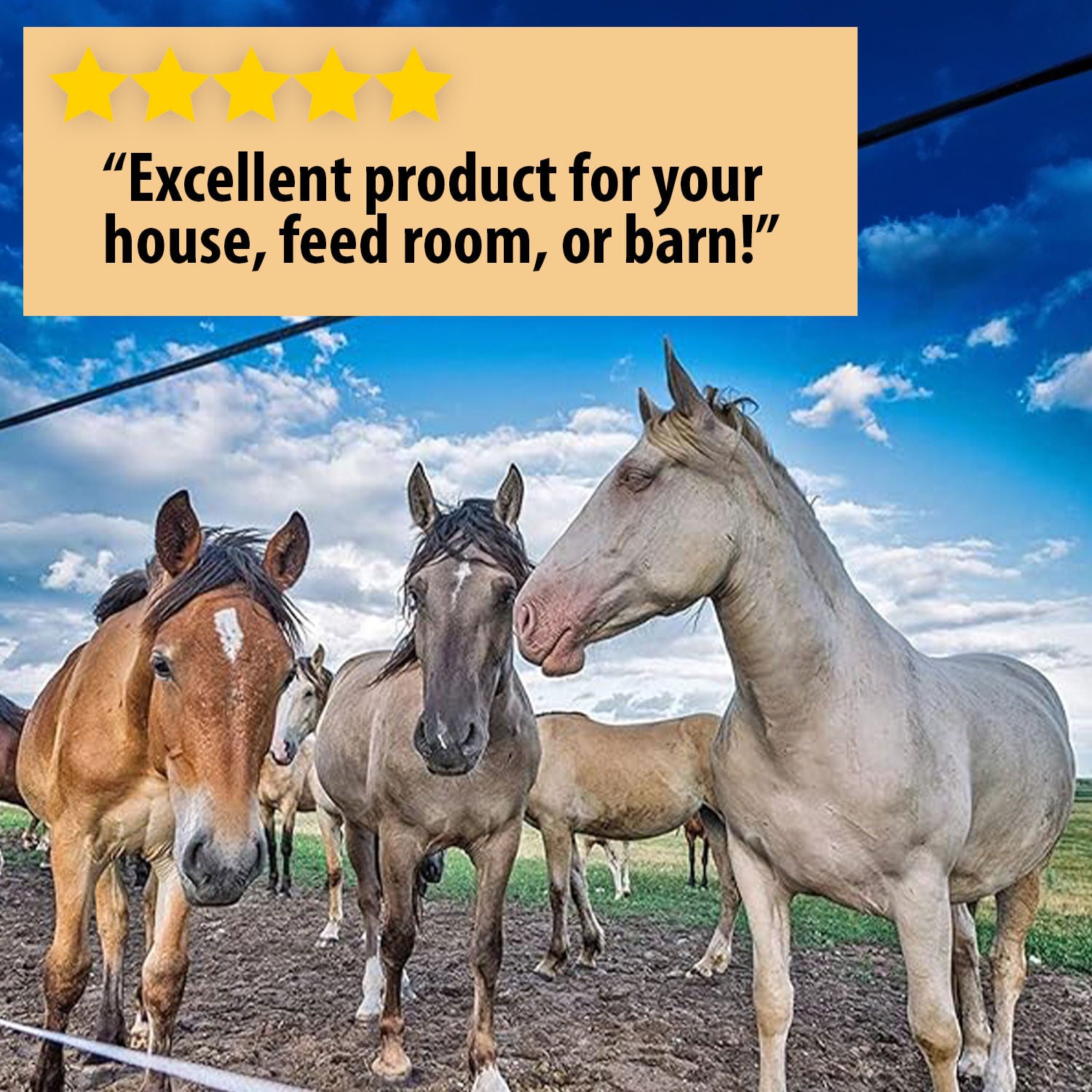 Country Vet Metered Insect Control & Fly Spray