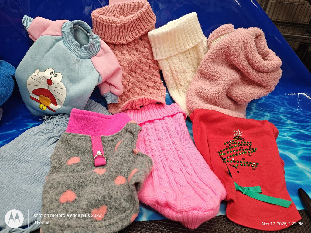 Dog Outfit Bundle ( Xtra Small 4 to 6 Pound Pets ) Brand New Save with a Bundle