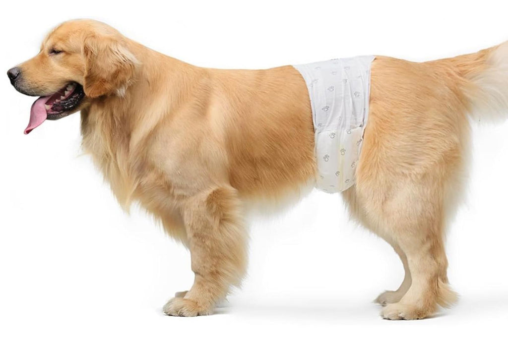 Male Dog Wraps, Disposable - Small Pack of 50 Wraps