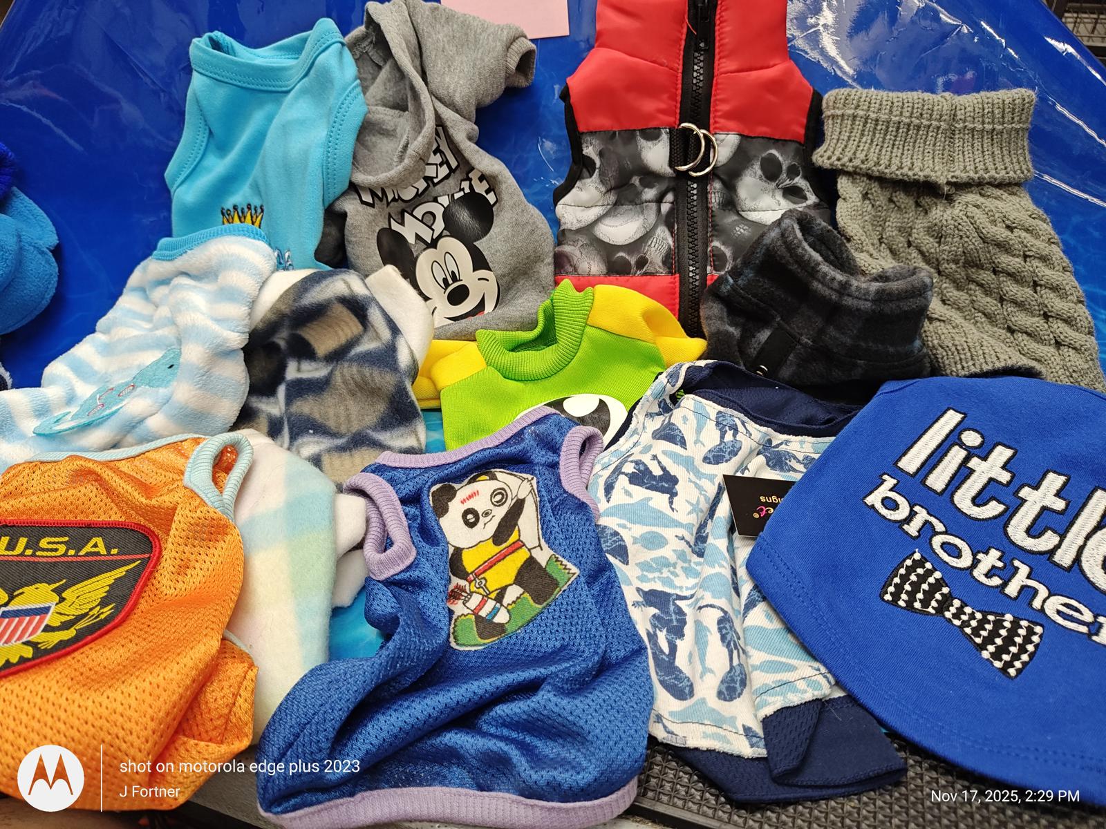 Dog Outfit Bundle ( Xtra Small 4 to 6 Pound Pets ) Brand New Save with a BundlE