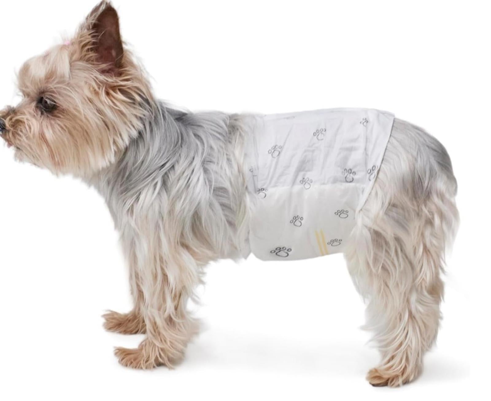 Male Dog Wraps, Disposable - Small Pack of 50 Wraps
