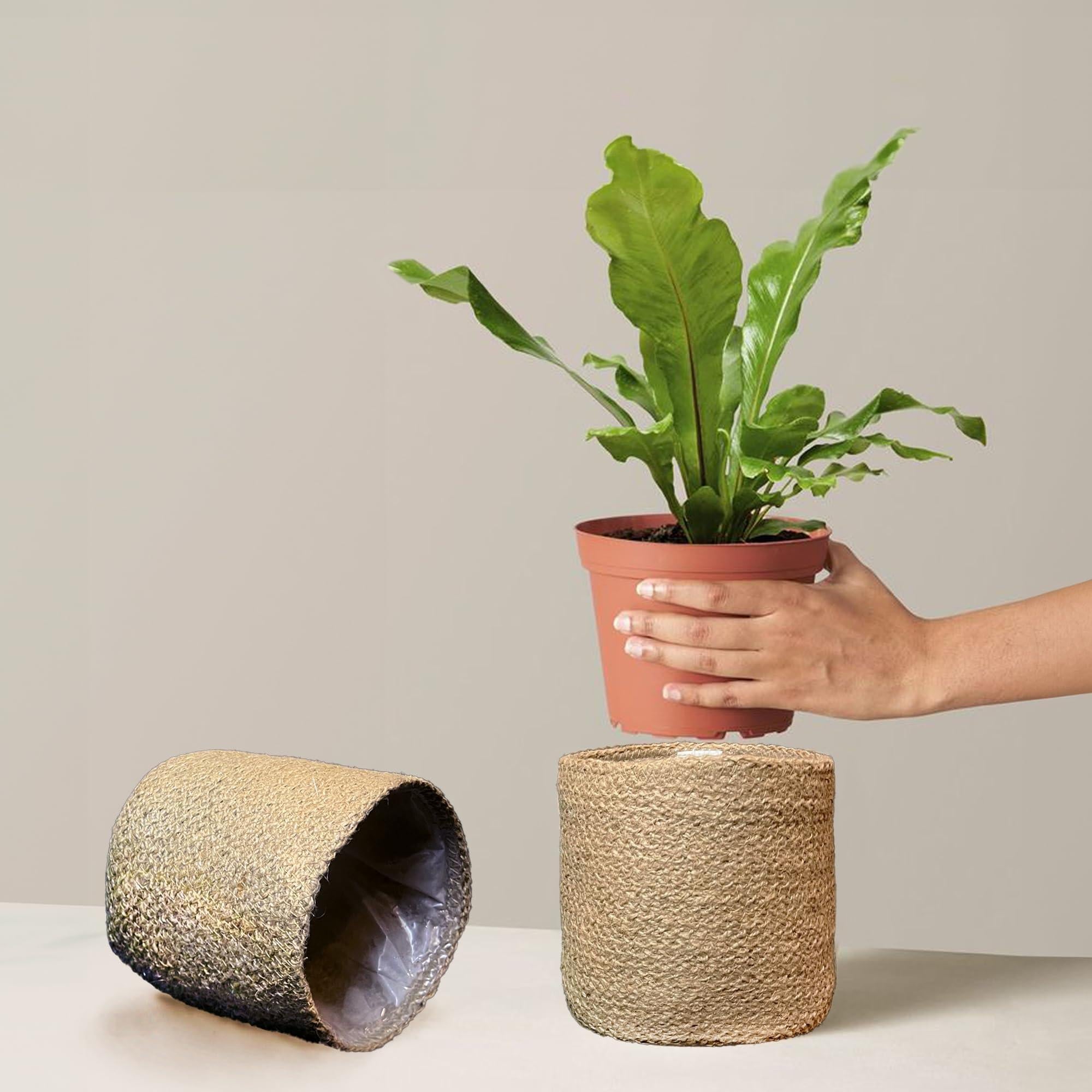 Jute Planter Basket Set of 2 Woven Jute Rope Covers for Decorating Indoor Outdoor Succulents Small Plant Pots Multi Purpose Storage Bins 6.5 Inches   Modern Style Décor  Brown