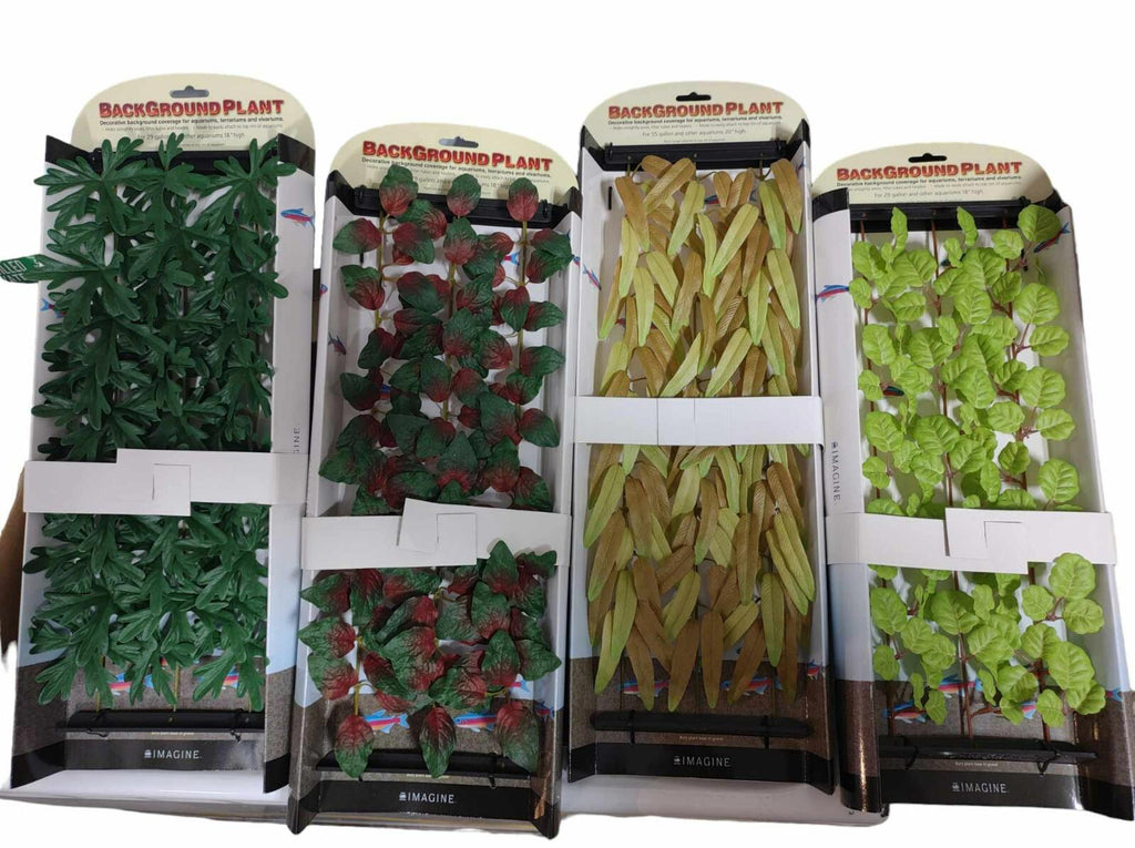 Lot of Fish Aquairum Background Plants 4 packs