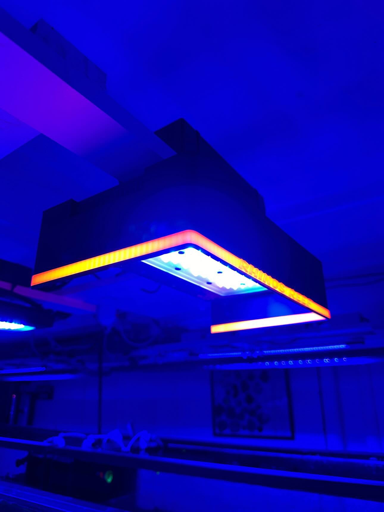 XR 30 Halo Shade