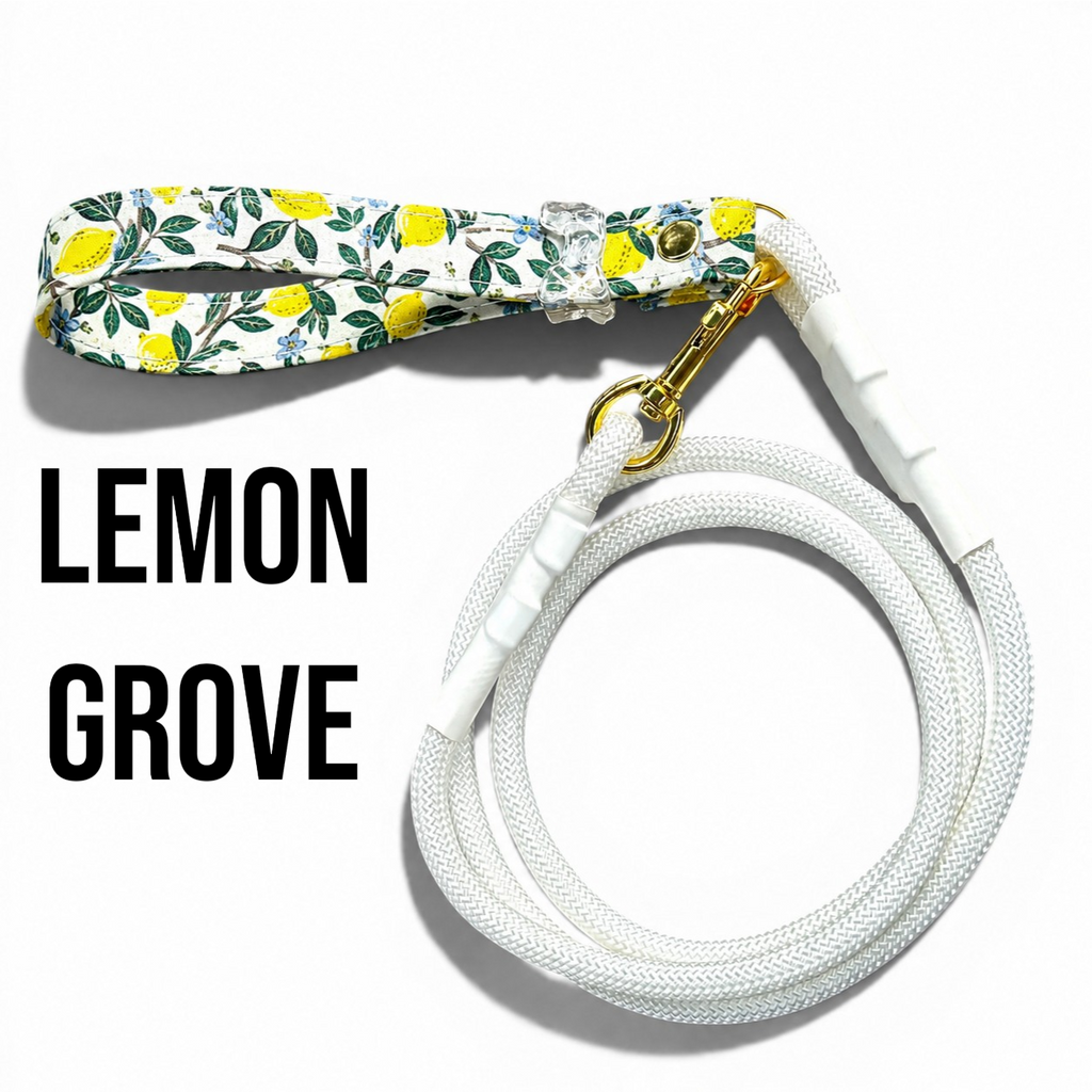 Classic Collection Leashes
