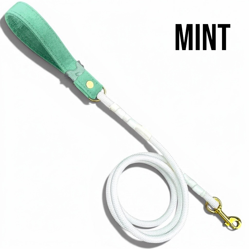 Luxe Collection Leashes