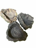 Reptile/Hermit Crab/Tarantula Stone Look Dishes Asst.Colors 48pc