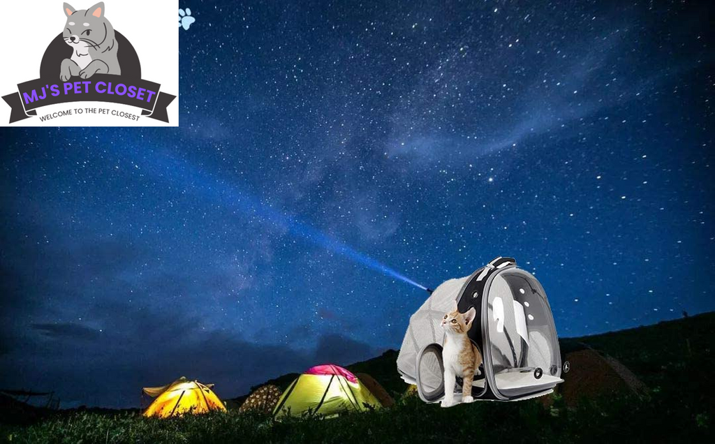 Cat Bubble Backpack with Fan – Fits Cats up to 12 lbs